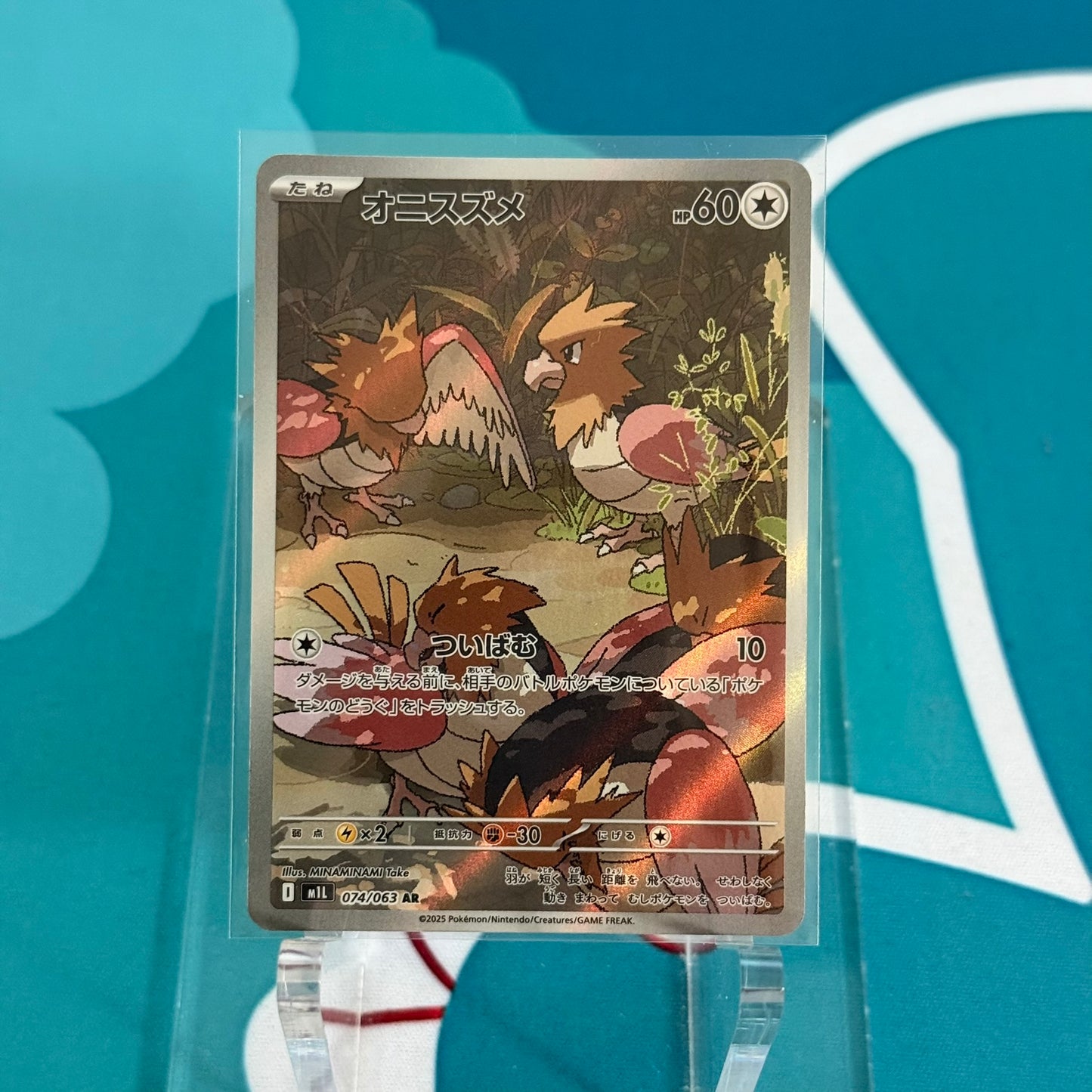 Spearow (m1L 074)