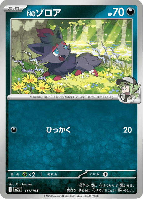 N's Zorua (m2a 111)