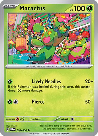 Maractus (BLK 008)