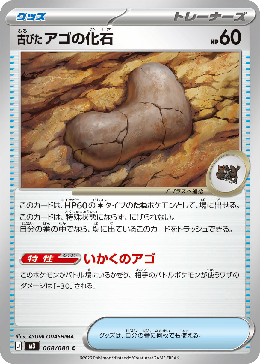 Antique Jaw Fossil (m3 068)