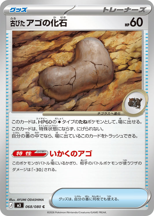 Antique Jaw Fossil (m3 068)