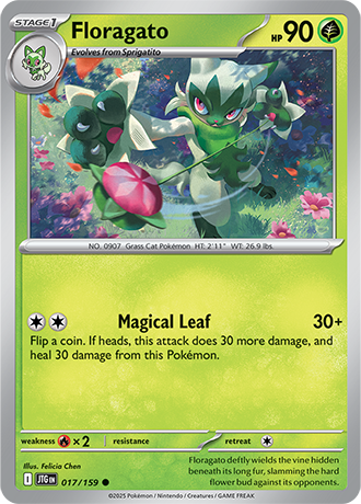 Floragato (JTG 017)