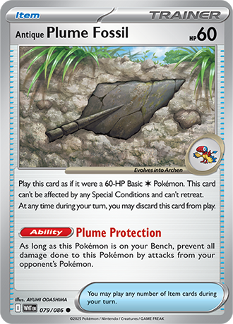 Antique Plume Fossil (WHT 079)
